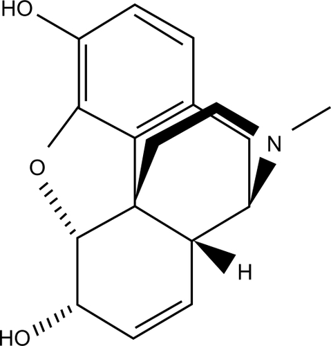 Figure 4 Morphine structure.