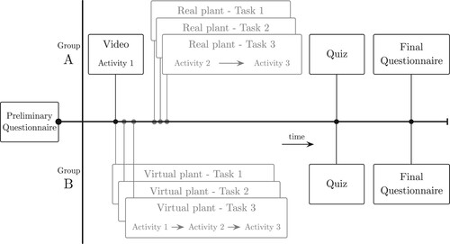 Figure 2. Experiment timeline.