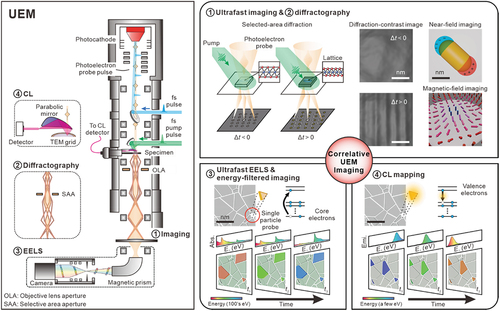 Figure 1. Schematic overview of high-resolution correlative imaging in UEM. (left) experimental setup illustrating the standard operation of ultrafast electron microscopy (UEM) equipped with optical pump and electron probe for stroboscopic measurements. UEM offers correlative capabilities for ultrafast imaging, diffractography, electron energy-loss (EEL), and cathodoluminescence (CL) spectroscopies. In this configuration, femtosecond (fs) ultraviolet laser pulses are directed at photocathodes to generate pulsed photoelectrons, which are synchronized in time and overlapped in space with the pump pulses applied to the specimen to initiate photoinduced dynamics. UEM provides multimodal imaging capabilities that enable complementary mapping of structural, electronic, and chemical dynamics at the nanoscale. (right) for ultrafast real-space imaging and diffractography in reciprocal space, UEM allows visualization of nanoscale morphological changes, such as warping or strain wave propagation, as well as lattice thermalization or vibrations at the ångström scale, providing direct evidence of the object’s structural motion. The exploration of the light-induced electric-field enhancement and non-equilibrium magnetic or spin states can be observed through the electron – matter interactions, taking advantage of the spatiotemporal accessibility of the electron probe to the intrinsic length and timescales of material dynamics. To gain a thorough understanding of concurrent electronic-transition dynamics in consistent measurement, ultrafast EEL and CL spectroscopies serve as complementary techniques in UEM, enabling the measurement of valence and core-level dynamics with single-particle selectivity. The advantageous capabilities of energy-filtered and -selected mapping of nanoparticles or grains are particularly valuable for visualizing the time-resolved evolution of chemical states, molecular bonding configurations, and charge-carrier transport behaviour in real time, at the nanometre scale. The integration and realization of these diverse imaging modalities in UEM hold the promise of unlocking new insights and enabling a deeper understanding of ultrafast structural and electronic dynamics at their relevant scales, while also revealing their spatiotemporal correlations.