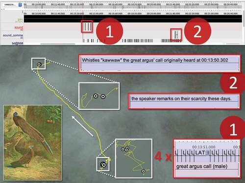 Figure 5. Selection and georeferencing of ELAN annotations of bird calls and subsequent commentary by Semelai participants. The coordinates corresponding to the calls and commentary illustrated as points in Google Earth. The coordinate values have been obscured for privacy. (Google, CNES/Airbus; Painting from The New York Public Library, https://digitalcollections.nypl.org/items/510d47d9-6ede-a3d9-e040-e00a18064a99)