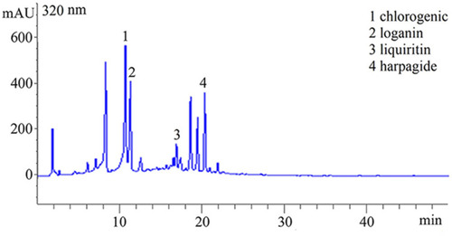 Figure 1 HPLC analysis of the Shouzu Ning Decoction (SND)
