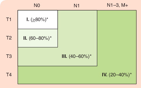 Figure 1. Clinical stage and survival rates of oral cancer.Survival rates have not changed in the past 30 years.*Percentage survival.N: Lymph node staging; T: Tumor staging.