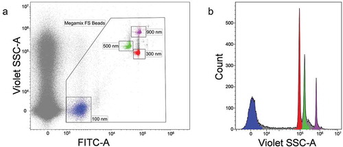 Figure 3. Cytoflex S flow cytometer setup based on violetSSC using Megamix-Plus FSC reference beads. (a) FITC-A vs. VioletSSC-A dot plot. Events corresponding to calibration beads are gated within the “Megamix FS Beads” region. Beads of specific diameter are highlighted in different colours. (b) VioletSSC-A histogram plot. Only events from “Megamix FS Beads” region are presented. Violet SSC is presented in the logical scale.