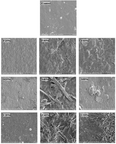 Figure 2. SEM images of CS-films with various plasticizers type and concentration