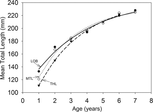 Figure 3. Von Bertalanffy growth curves for gizzard shad in Long Branch (LOB), Mark Twain (MTL), and Thomas Hill (THL) lakes. Equations are lt  = 245.533(1–e −0.284( t  + 1.863)) for LOB (r 2 = 0.98; p < 0.0001), lt  = 233.473(1–e −0.412( t  + 0.830)) for MTL (r 2 = 0.99; p < 0.0001), and lt  = 244.282(1–e −0.346( t  + 0.755)) for THL (r 2 = 0.99; p < 0.0001). Mean length for age 7 in Thomas Hill Lake was not computed due to very low sample size.