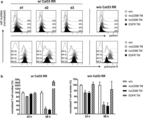 Figure 4. Perforin/granzyme B production and expansion of UniCAR T cells after TM-mediated cross-linkage with radioresistant tumor cells. UniCAR T cells were co-cultured with (w/) or without (w/o) Cal33 RR cells in the presence or absence of 50 nM TM at an E:T ratio of 5:1. (a) After 48 h, UniCAR T cells were stained for intracellular perforin and granzyme B expression and analyzed by flow cytometry. Histograms show the percentage of perforin+ UniCAR T cells (upper panel) or median fluorescence intensity (MFI) of granzyme B stained UniCAR T cells (lower panel). Marker was set according to the respective Fluorescence Minus One (FMO) control (dashed line). Each histogram (w/ Cal33 RR) shows the results of one individual donor (d1, d2 or d3). For samples w/o Cal33 RR cells, data of one representative donor are shown. (b) After 24 h and 96 h, eFluor670+ UniCAR T cell numbers were determined by flow cytometry. Control samples w/o TM were set to 100%. Normalized UniCAR T cell numbers (mean + SD of triplicates) are shown for one donor (n = 1)