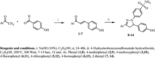 Scheme 1. Synthesis of sulfonamides 8–14 via microwave irradiation.