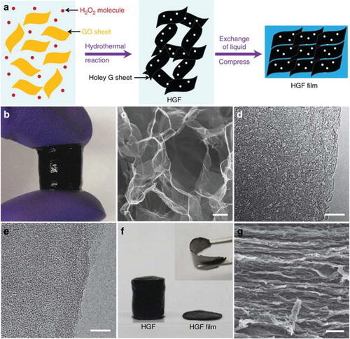 Figure 6. Preparation and structural characterization of hG foams (HGF). (a) Schematic illustration of the preparation process of HGFs and HGF films. (b) A photograph showing a free-standing HGF. (c) SEM image of interior microstructures of HGFs. Scale bar = 1 µm. (d) TEM image of hG sheets in HGFs. Scale bar = 10 nm. (e) TEM image of non-hG sheets in GFs for comparison. Scale bar = 10 nm. (f) A photograph showing HGFs before and after mechanical compression with the flexibility of the compressed HGF film shown in the inset. (g) Cross-sectional SEM image of the compressed HGF film. Scale bar = 1 µm. Reproduced from Ref. [Citation19] with permission from Nature Publishing Group.