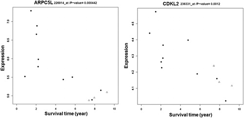 Figure 4. Gene expression patterns and overall survival in IBC patients. ARPC5L and CDKL2 expression levels are significantly associated with long-term OS in IBC patients. Survival time represents years. Three of the patients from the Duke clinical trial who are alive are represented with a triangle symbol in the graph.