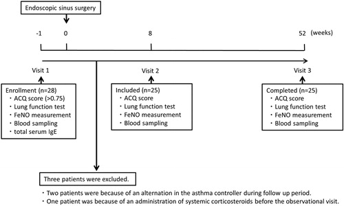 Figure 1. Study design. At 1 week before ESS (Visit 1), ACQ score, lung function test, FeNO, blood sampling and total serum IgE were measured in 28 patients. Three patients were excluded. At 8 weeks after ESS (Visit 2) and 52 weeks after ESS (Visit 3), ACQ score, lung function test, FeNO and blood sampling were measured in the included 25 patients.