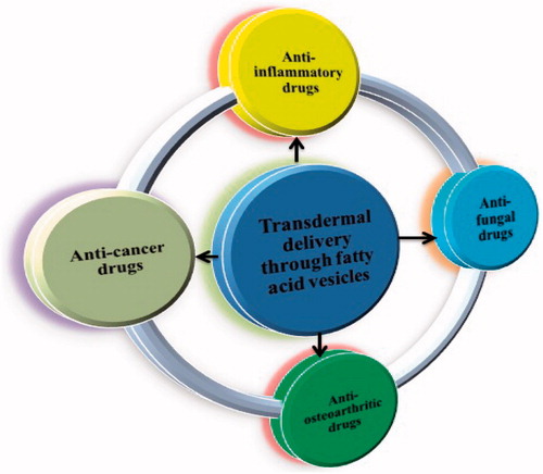 Figure 9. Applications of fatty acid vesicles for transdermal delivery. Various categories of drugs like antifungal, anticancer, antiosteoarthritic, and antiinflammatory drugs loaded in fatty acid vesicles have been investigated for transdermal delivery.