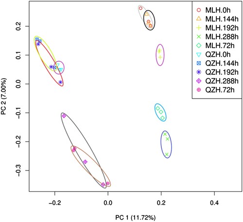 Figure 3. Principal component analysis showing the genetic variation between rust-infected QZH and MLH H. citrina varieties based on transcriptome data.
