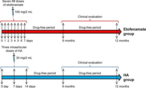 Figure 1 Protocols of administration.