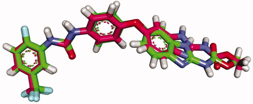 Figure 7. Superimposition of sorafenib (green) and the redocked one (pink) in the VEGFR-2 active site (RMSD = 0.98 Å).
