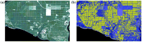 Figure 4. (a) Landsat 8 image taken in Selangor in 2010 (scale 1: 30,000) (USGS Citation2010); (b) Oil palm classified using multi-sensory approach: Landsat 8 and ALOS PALSAR (oil palm indicated in yellow) (JAXA/METI Citation2010).