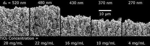 Figure 6. SEM cross-sections of films deposited with various P-25 TiO2 nanoparticle loadings and aggregate sizes. Nanoparticle concentrations are listed at the bottom and calculated aggregate diameters are listed at the top. The associated Peclet numbers (from left to right) are: 5.2 × 102, 4.5 × 102, 3.6 × 102, 2.9 × 102, and 1.7 × 102, respectively.