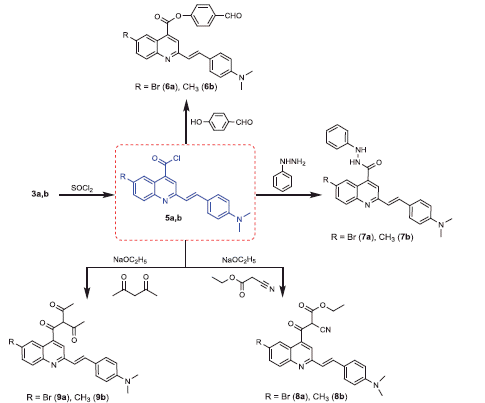 Scheme 2. Synthesis of compounds 5a,b–9a,b.