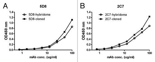 Figure 8. Comparison of TcdA toxin binding activities for purified mAb 5D8 (A) or 2C7 (B) produced either from hybridoma culture or from supernatant of 293T cells co-transfected with paired Ig gamma and kappa chain clones. ELISA curves labeled with solid squares indicate the mAb produced by hybridoma and open circles indicate mAb produced by cotransfection of paired Ig heavy and kappa chain clones. TcdA toxin was used as coating antigen (1 µg/ml).