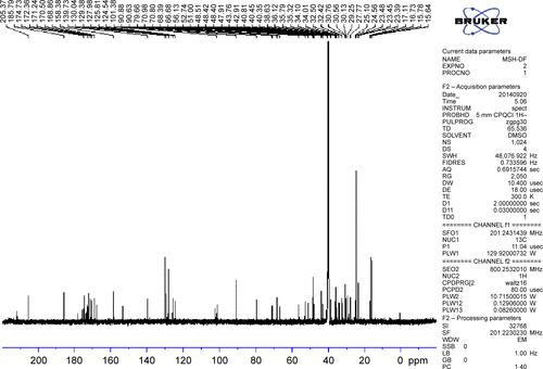 Figure S6 13C NMR of RGDF-Dex.