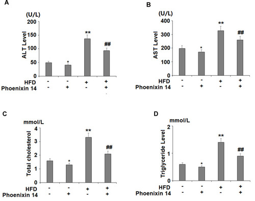 Figure 2 Administration of phoenixin 14 improves liver function and increases lipid levels in NAFLD mice. (A) ALT; (B) AST; (C) Total cholesterol; (D) Triglyceride (*, **P<0.05, 0.01 vs vehicle group; ##P<0.01 vs HFD group).