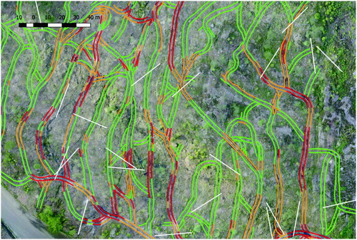 Figure 1. An example showing a section of the orthomosaic from site 6, overlayed with the 800 mm buffered wheel track tracelines (green = Light, orange = Moderate, red = Severe), as well as the automatically generated transects (white).