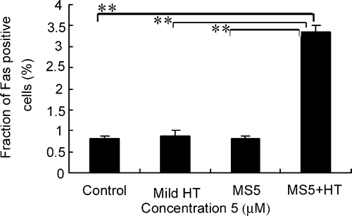 Figure 6. Effects of mild HT and MS5 on Fas externalization. U937 cells were treated with MS5, mild HT alone and in combination of both for 30 min followed by flow cytometry to measure externalization of Fas by using anti-Fas FITC-conjugated antibody. Bars indicate standard deviation (n = 3; **p < 0.01).