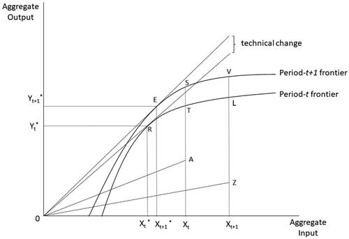 Figure 2. Temporal changes in TFP. Conceptualizing different components of temporal changes in TFP.