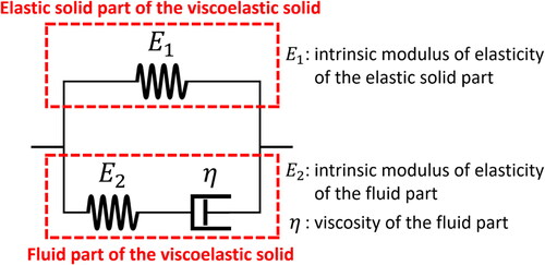 Figure 3. SLSMMaxwell is a model consisting of a linear spring and a Maxwell model in parallel, in which linear spring and Maxwell model are known as elastic solid model and fluid model respectively. Hence, the linear spring and Maxwell model of SLSMMaxwell represent the elastic solid part and fluid part of a viscoelastic solid respectively.