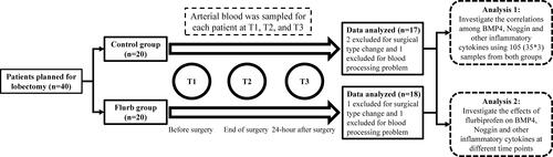 Figure 1 Flow chart.