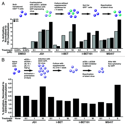 Figure 4. Effect of bromodomain-targeting compounds in primary T-cell models of HIV latency. (A) Detection of latently infected cells in sorted GFP-negative Bcl-2-transduced cells. The sorted GFP-Bcl-2-transduced resting CD4+ T cells were treated with stimuli for 24–72 h at 37 þC. Cells treated with 2.5 µg/ml αCD3 and 1 µg/ml αCD28 antibodies were used as positive controls. Reactivation of latent HIV-1 was determined by quantifying % GFP+ cells with a MACSQuant flow cytometer (Milteny Biotech GmbH). Results are expressed as percentage of reactivation in response to αCD3 plus αCD28 activation and represent the average of two independent donors. (B) Effect of bromodomain-targeting compounds in latently infected primary nonpolarized T helper cells. Latently infected T cells were generated using healthy, uninfected CD4+ T cells (DONOR 144) that were ex vivo differentiated into nonpolarized T cells and infected with DHIV-GFP, X4 virus as previously described.Citation49,Citation50 Reactivation was monitored by analysis of GFP by flow cytometry 96 h after compound addition. Beads coated with αCD3/αCD28 antibodies were used as positive controls. All compounds were also tested in non-infected cells to distinguish between HIV-1 reactivation and compound fluorescence. Similar results were observed in two independent donors.