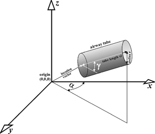 FIG. 1 Method for the conversion of “random” spatial deposition coordinates into a Cartesian coordinate system with the trachea defining the z-direction. For this transformation, the two angles α and γ are used.