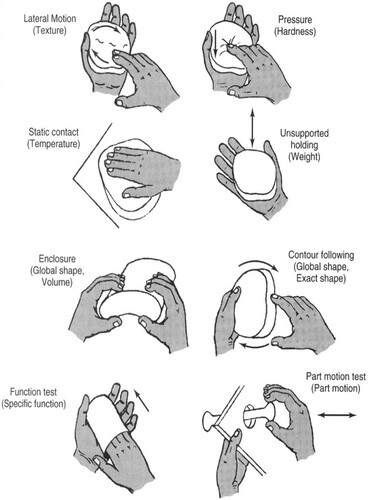 Figure 2. Forms of Haptic Exploration from Sekuler and Blake (Citation2006).