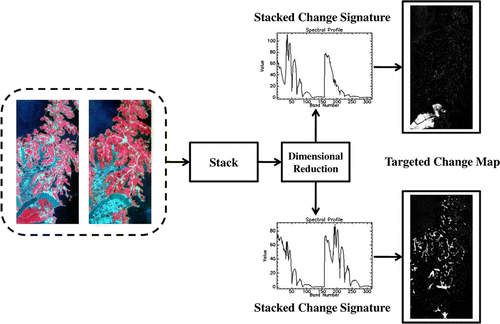 Figure 8 The diagram of targeted change detection.