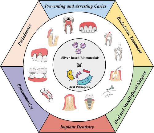 Figure 1 A schematic illustration of the medical functions and therapeutic applications of antimicrobial silver-based biomaterials in dentistry.
