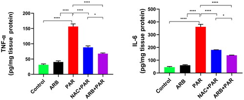 Figure 4. Effects of ARB extract on proinflammatory biomarkers in rats subjected to PAR-induced liver toxicity. Data are represented as mean ± SD (n = 6) using one-way ANOVA followed by Tukey’s multiple comparison test at *P < 0.05, **P < 0.01, ***P < 0.001, ****P < 0.0001.