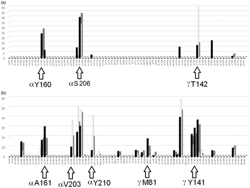 Figure 1. (a) Average frequency contacts (expressed in %) of hydrogen bond interaction measured during the dynamic simulation of ligand-receptor complex. White columns, affine ligands; grey columns, low affine ligands; black columns, inactive ligands. (b) Average frequency contacts (expressed in %) of Van der Waals interaction measured during the dynamic simulation of ligand–receptor complex. White columns, affine ligands; grey columns, low affine ligands; black columns, inactive ligands.