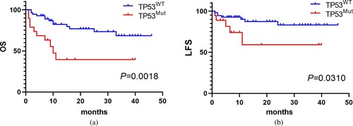 Figure 2. The Kaplan–Meier curve for OS and LFS of MDS patients stratified by TP53 mutation. (A) The OS of TP53Mut group was shorter than the TP53WT group. (B) The LFS was also shorter than the TP53WT group.