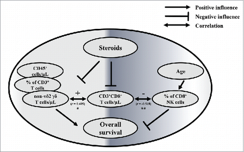 Figure 6. Interplay between immunological parameters associated with survival of GBM patients. Interplay between the parameters associated with survival, CD3+CD8+ T cells/µL, steroid medication, recurrence of the disease, RCT and age of GBM patients (n = 26; GBM-Dex/GBM 17/9). Positive and negative influences are indicated with arrows and lines with flat ending, respectively. Negative and positive correlations between parameters are shown as double-headed arrows. For statistical analysis Spearman´s Rank correlation was used. Spearman´s Rho (r) correlation coefficient is depicted with statistical significance displayed as ** for p < 0.01 and * for p < 0.05.