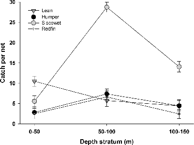 FIGURE 6. Least-squares geometric mean ± SE number of each morph caught per net in shallow- (0–50 m), mid- (50–100 m), and deepwater depth (100–150 m) strata.