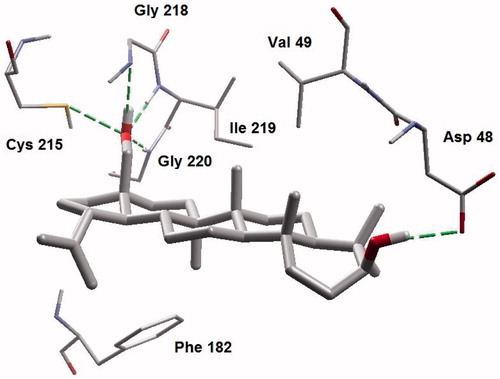 Figure 3. A closer view of betulin bound to the active site of PTP13.
