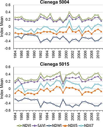 Figure 4. Change in index values for two individual cienegas through time. Cienega 5004 had three statistically significant trends: NDWI, NDII5, and NDII7. Cienega 5015 also had three significant trends: NDVI, SAVI, and NDWI. Trends were highly variable between cienegas for any particular index. For each cienega, trends were less variable. Generally SAVI is more moderate than NDVI and NDII5 is more moderate than NDII7. NDWI is in inverse relationship to the other indices due to the position of the NIR band in the formula calculation.