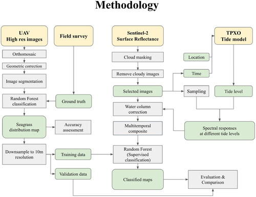 Figure 2. The overall flow chart of image analysis.