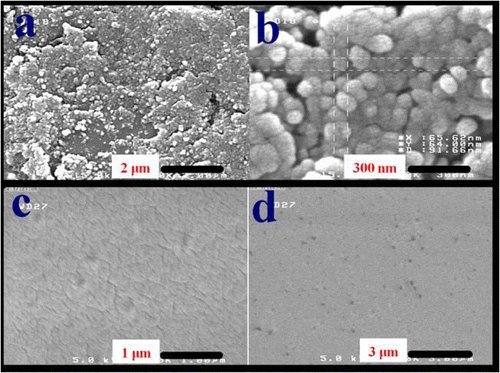 Figure 7 FE-SEM micrographs of AT nanostructures (a, b) and PVA matrix (c, d).