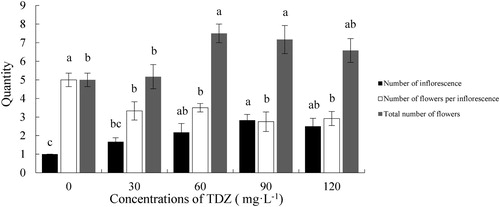 Figure 3. Effect of TDZ concentrations on the quantity of inflorescence and flowers of Dendrobium ‘Sunya Sunshine’ potted plants. The data represent means of 30 plants per treatment ± standard error. Different letters indicated significant differences at P ≤ 5%.