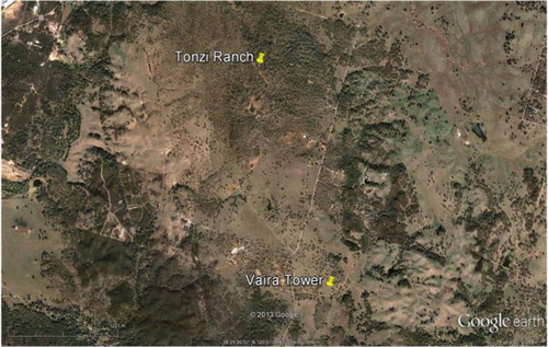 Fig. 1 Image of the field sites under investigation. The Tonzi Ranch is the venue of the oak savanna flux tower. The annual grassland is located on the Vaira Ranch. Both sites are near Ione, CA.