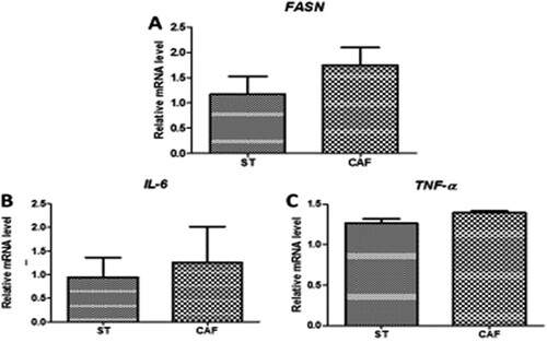 Figure 3. Effects of the CAF diet on the mRNA (A) expression of the fatty acid synthase (FASN) lipid metabolism gene in the liver, and the gene expression of the inflammatory cytokines interleukin-6 (IL-6) (B) and tumor necrosis factor-α(TNF-α) (C) in the liver of male zebrafish on day 60 of feeding. The expression of each mRNA was normalized against peptidylprolyl isomerase A (PPIA) mRNA expression and the corresponding expression in the diet-induced obese (DIO) group. Values are means ± standard error. Statistical analyses were performed using the Student's t test.