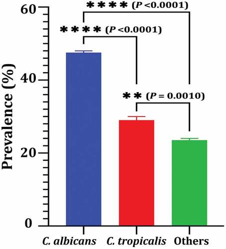 Figure 2. Prevalence of C. albicans among other Candida species isolated from swab samples of dental caries. Variations between groups were analysed using unpaired and paired t-tests according to the type of obtained data at * P≤0.05, ** P≤0.01, *** P≤0.001, and **** P≤0.0001, while P > 0.05 is non-significant (ns).