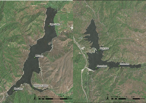 Figure 1 Sampling locations for Deer Creek and Jordanelle reservoirs, Utah.