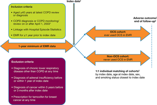 Figure 1 Study design. Data included in this analysis spanned from 1987 to 2019. *Date that primary care practitioners entered into a government contract providing additional payments for high-quality COPD care to aid with the diagnostic Quality and Outcomes Framework.Citation20 †OCS cohort: date of first COPD-related OCS prescription; non-OCS cohort, nearest primary care visit to the matched OCS patient index date. ‡Each patient was followed from index date until the first occurrence of an adverse outcome of interest or the end of the patient’s available records (reasons for the last record included death, leaving the primary care practice, or last data extracted). §Index date and sex matching criteria were used per similar studies of systemic (oral or parenteral) corticosteroid use in patients with asthma;Citation12,Citation21 as a COPD study, age and smoking status criteria were included to fully ensure similar covariate distribution.