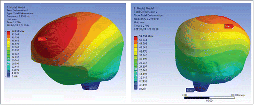 Figure 7. Second mode shape of a simple brain model: a swing type of vibration in front and rear direction.